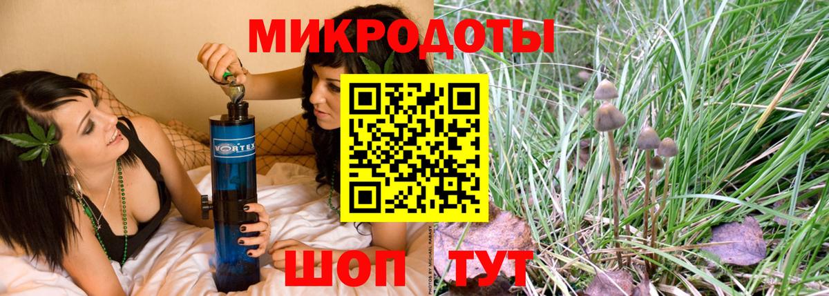 Галлюциногенные грибы Psilocybine cubensis Михайловск