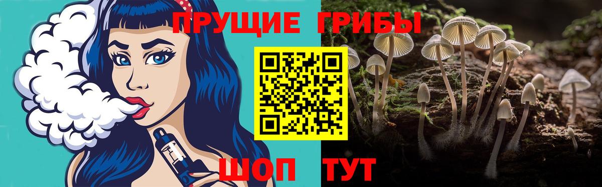 Михайловск  Псилоцибиновые грибы Psilocybine cubensis  цена   Вход с VPN 